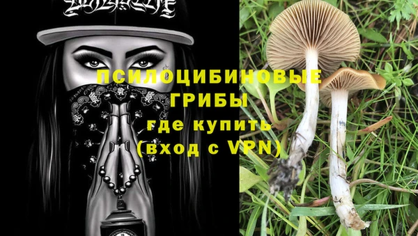 apvp Армянск