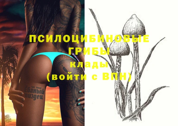 МДМА Новодвинск