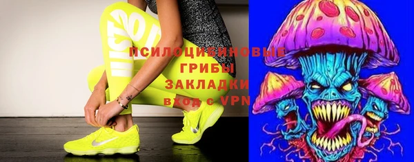 apvp Армянск