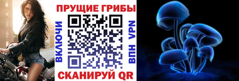 Псилоцибиновые грибы GOLDEN TEACHER  mega вход  Велиж  где можно купить  